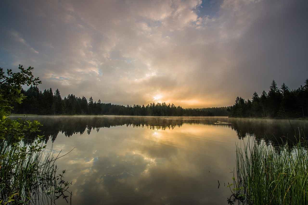 Aldatmanın ispatı nasıl yapılır?
