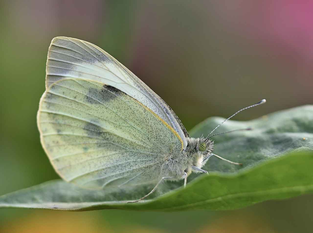 Anlaşmalı Boşanmada Duruşmaya Gitmek Gerekir Mi?