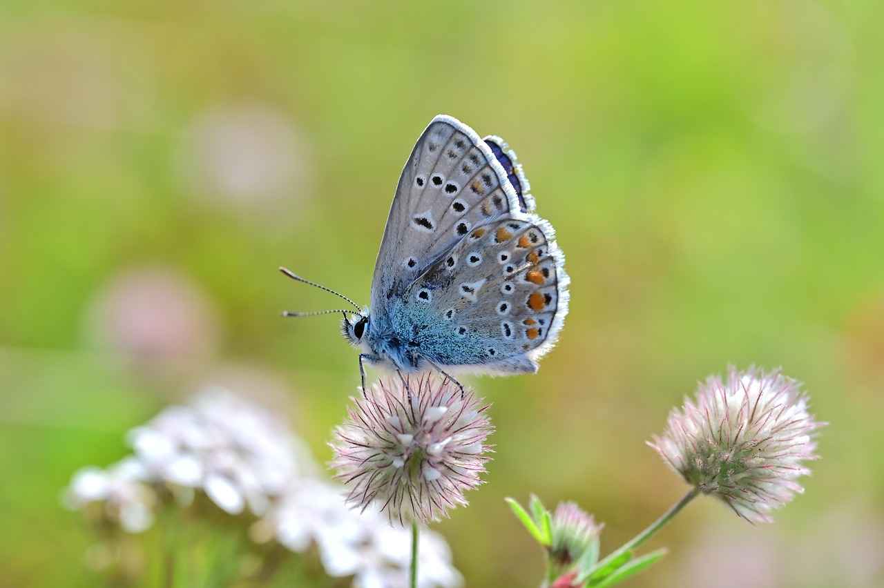 Boşanma davasında uzaklaştırma kararı alınabilir mi?