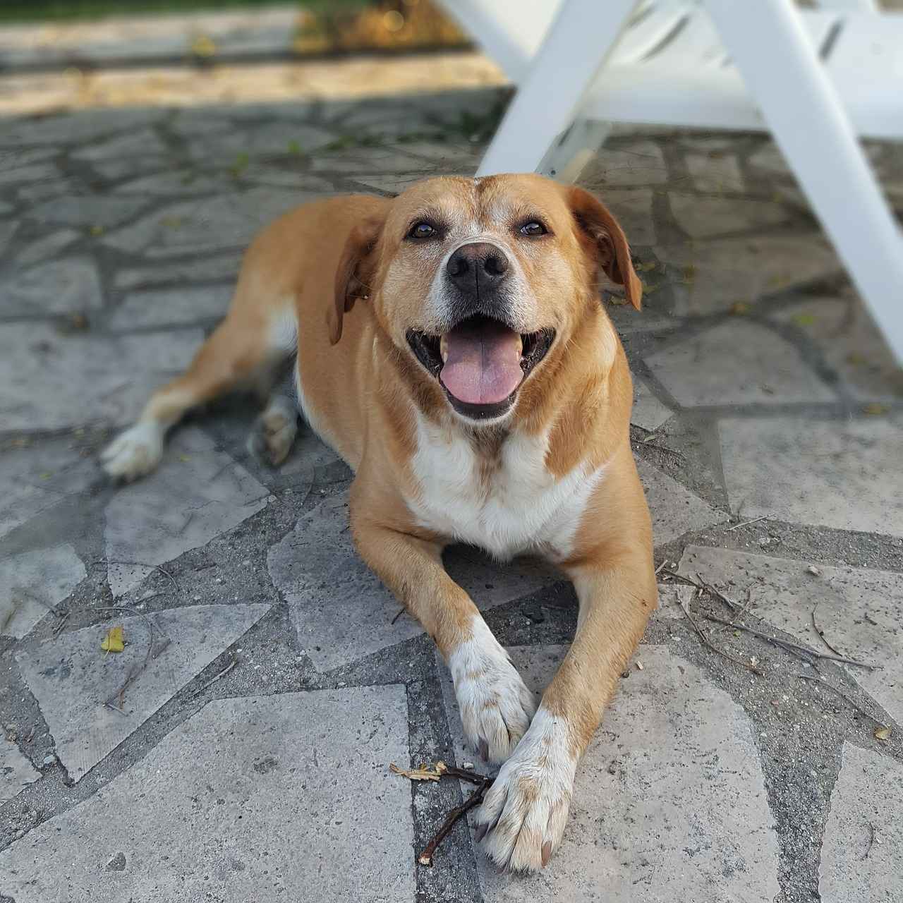 Boşanmada kira geliri olan taşınmazlar nasıl bölüşülür?