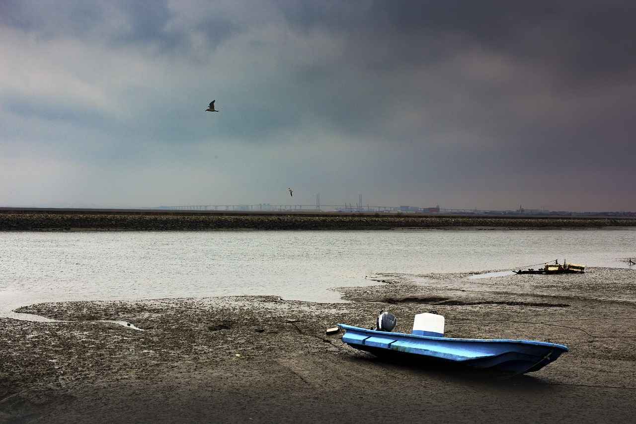 Boşanmada tazminat ile mal paylaşımı farklı şeyler midir?