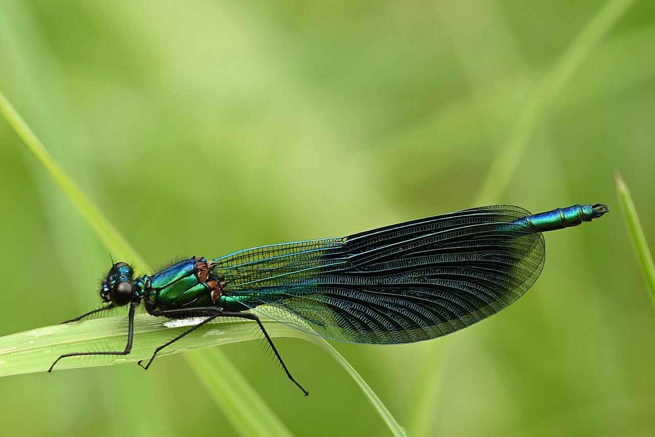 Çekişmeli boşanma sürecinde eşime dava açtığımı nasıl bildiririm?