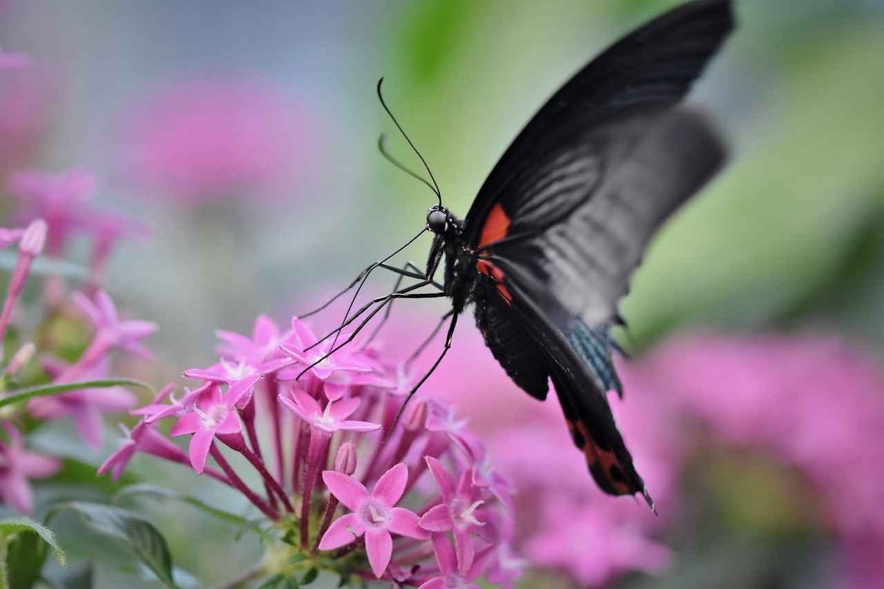 Evlilik içinde yapılan yatırımlar nasıl paylaşılır?