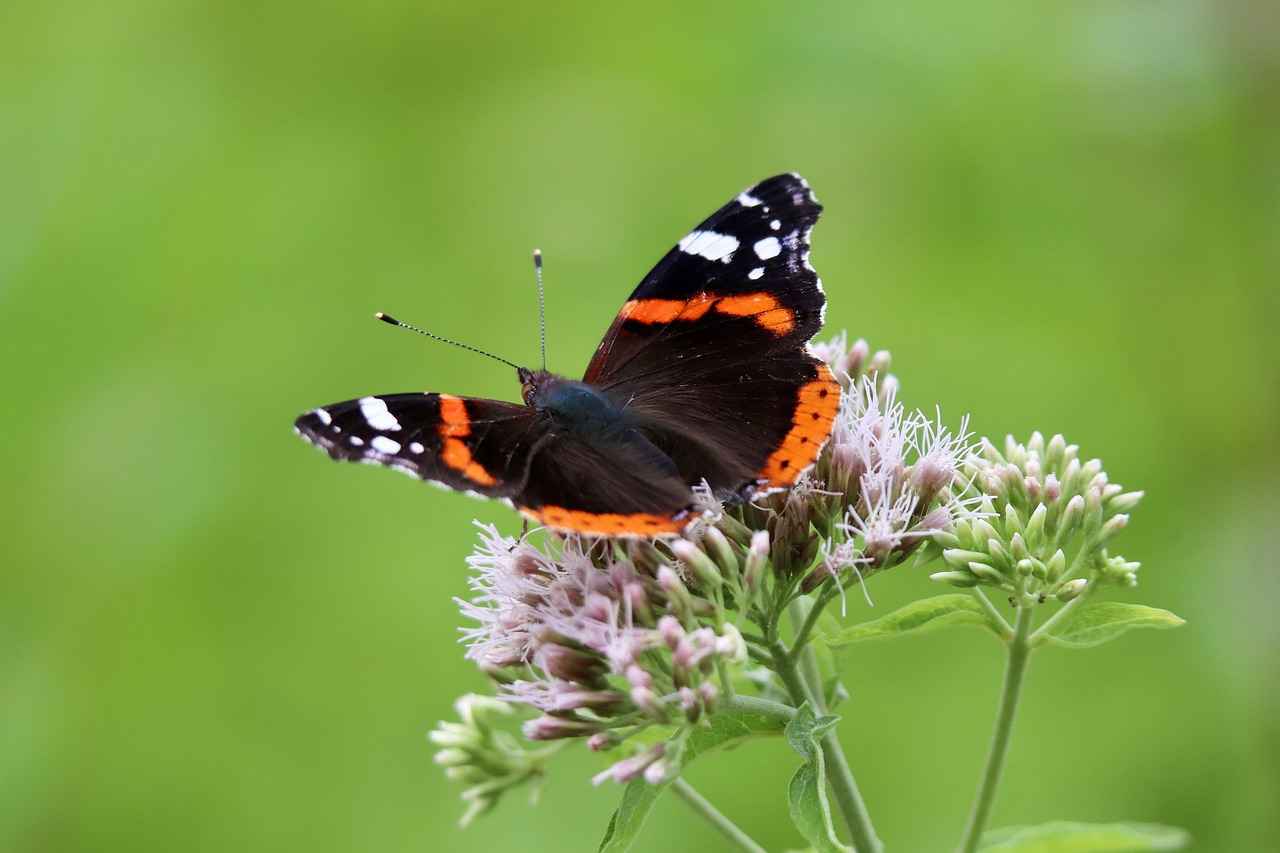 Psikolojik Şiddet Boşanma Davasında Delil Sayılır Mı?