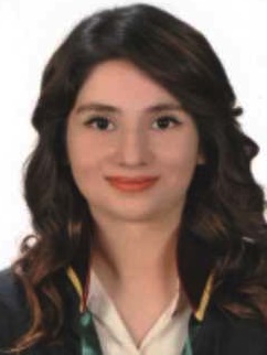 Av. Abdulkadir Efe