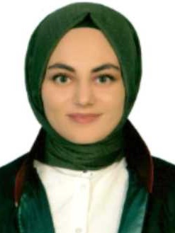 Av. Abdullah Birdir