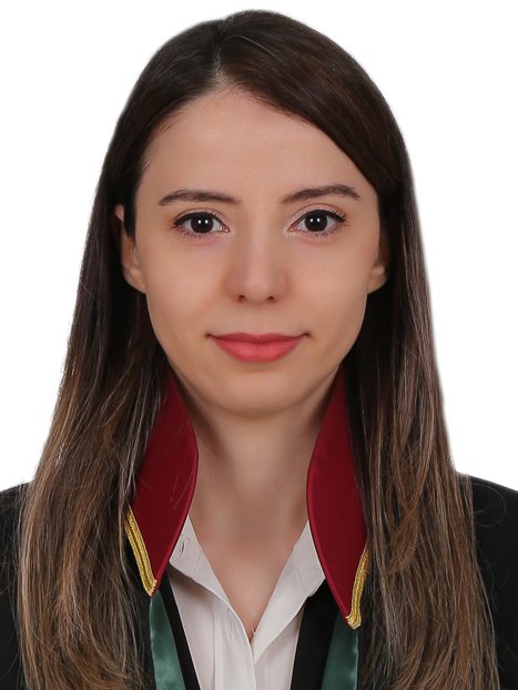 Av. Adem Saricalar