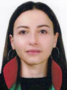 Av. Ahmet Akgül