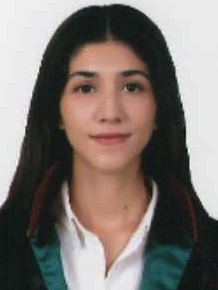 Av. Ahmet Alaybeyoğlu