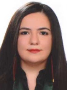 Av. Ahmet Can Tunç