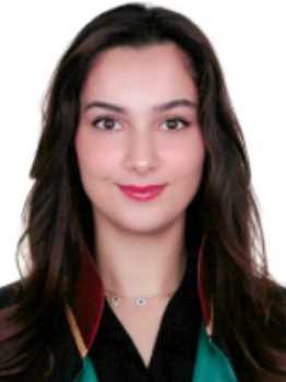 Av. Ahmet Eroğlu