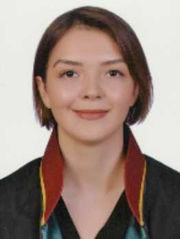 Ahmet Kaan Ergün