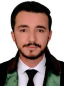 Av. Ahmet Onay