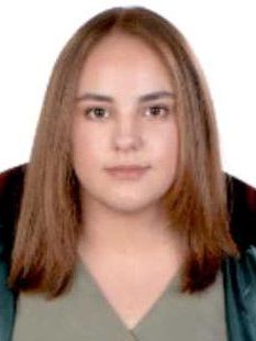 Av. Ahmet Özgen
