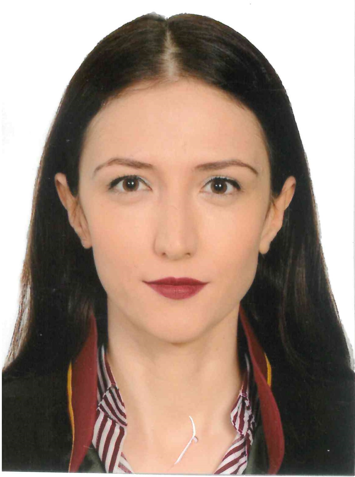Av. Ahmet Şemsioğlu