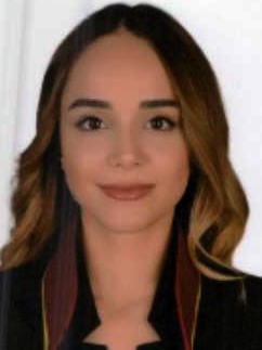 Av. Ahmet Serdar Çelikel
