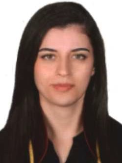 Av. Ahmet Tufan Taşmertek
