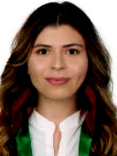 Av. Ahmet Ülkü
