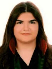 Av. Ahmet Vahdi Orak