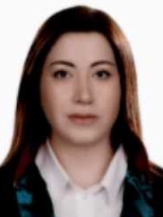 Av. Ahmet Yavuz Şanlialp