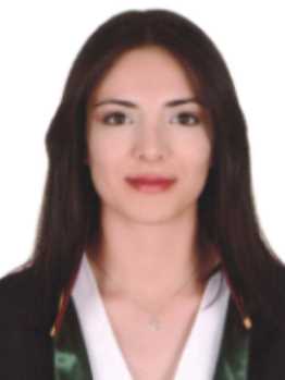 Av. Ahmet Yilmaz