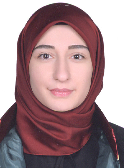 Av. Ahu Tokmak