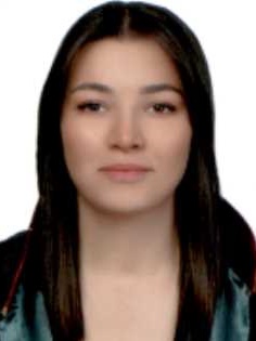 Av. Akin Özmen
