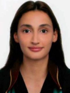 Av. Aleyna Özden