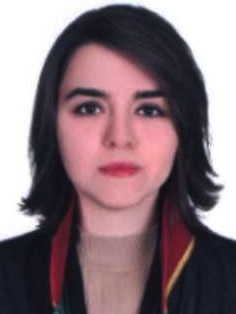 Av. Ali Altinkan