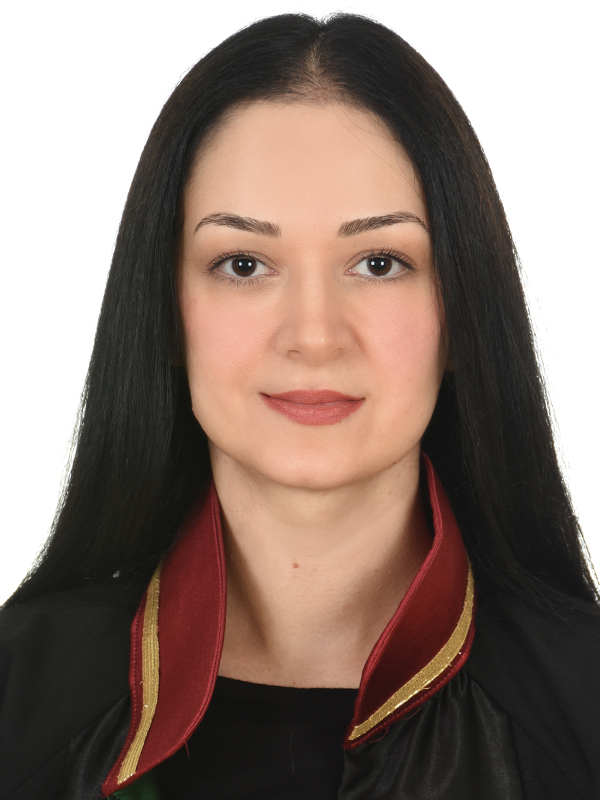 Av. Ali Demir