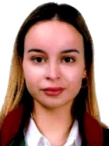 Av. Ali Deniz Demirel