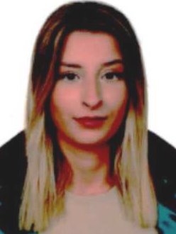 Av. Ali Erdem Yilmaz