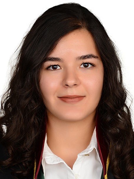 Av. Ali Girgin