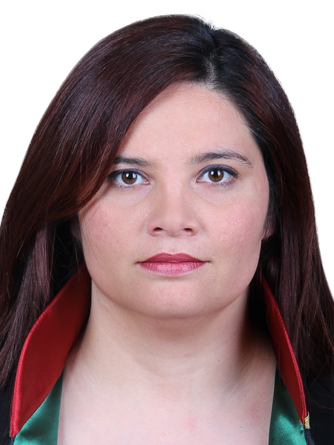 Av. Ali Gürbüz