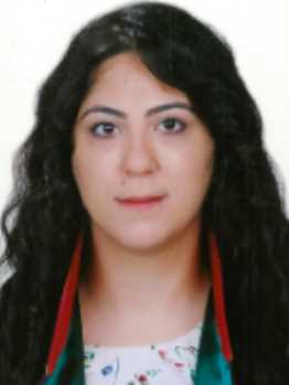 Av. Ali İhsan Arican