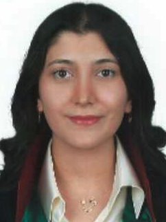 Av. Ali İhsan Yildirim