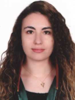 Av. Ali Kutay Güleç