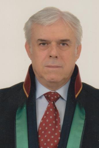 Av. Ali Mithat Özçakmaktaşi