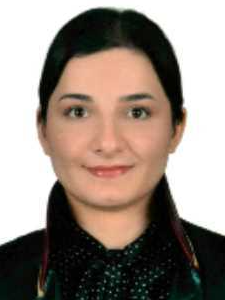 Av. Ali Osman Şenol