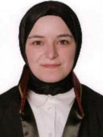 Av. Ali Riza Serhilal