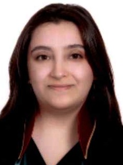 Av. Ali Sümer Savci