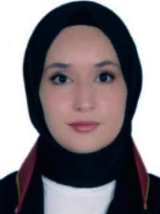 Av. Ali Taner Çalik