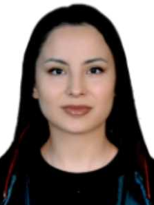 Av. Ali Yiğit Göçen