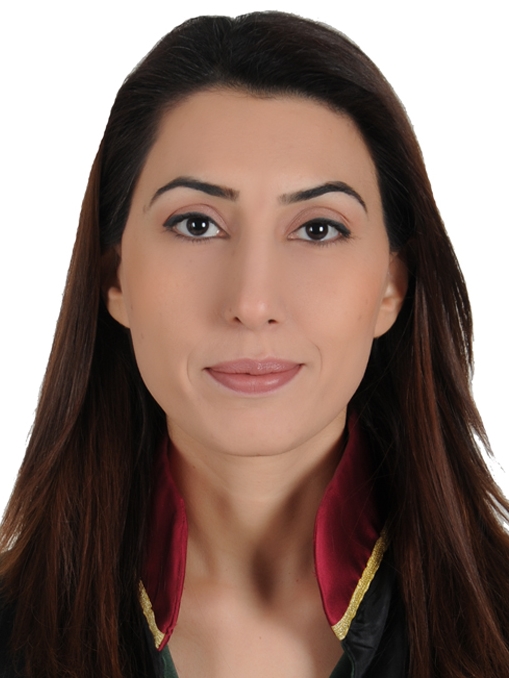 Av. Alim Çeliker