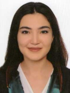 Av. Alişan Özgümüş