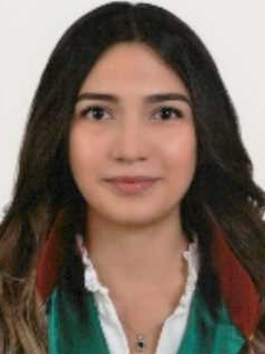 Av. Alper Küçükel