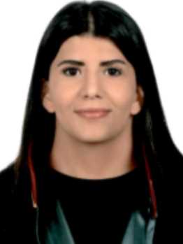 Av. Alper Sari