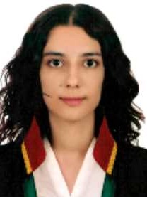 Av. Alper Savran