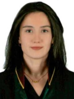 Av. Alperen Kürşat Bilge
