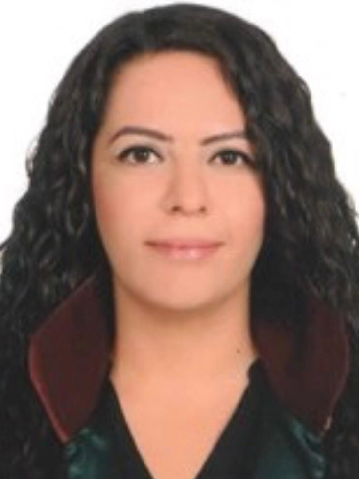 Av. Anil Dibek
